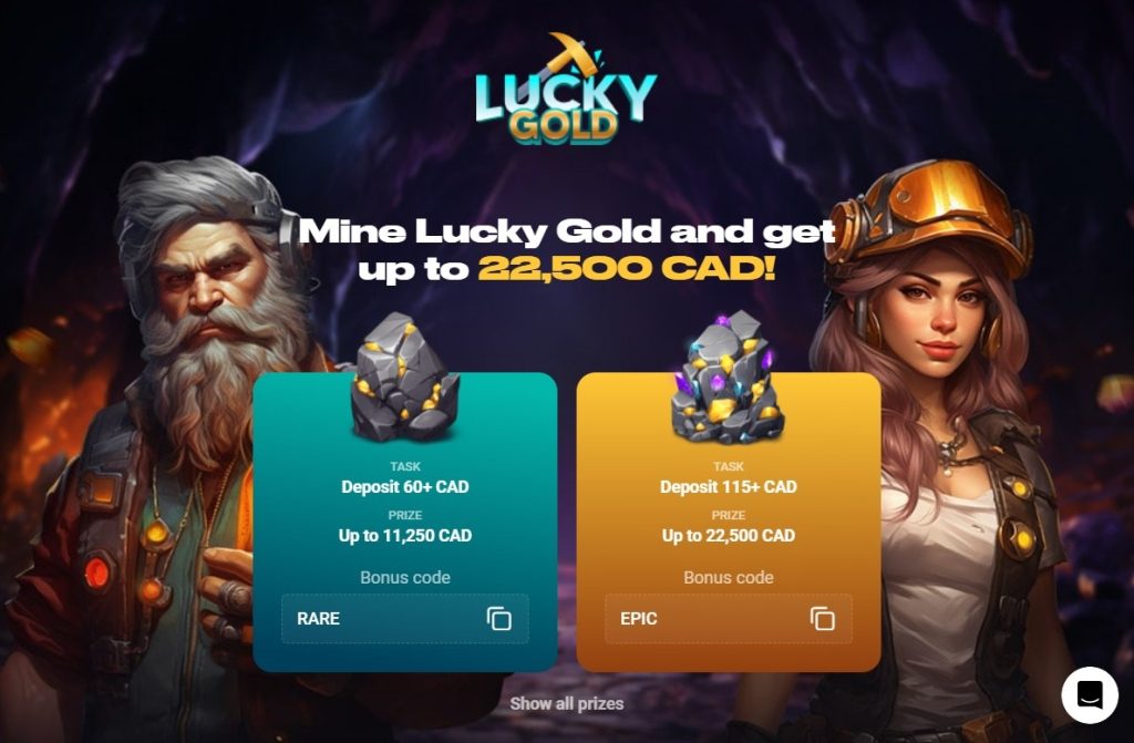VIP Program at SlotsMines